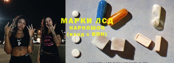 молекула духа Михайлов