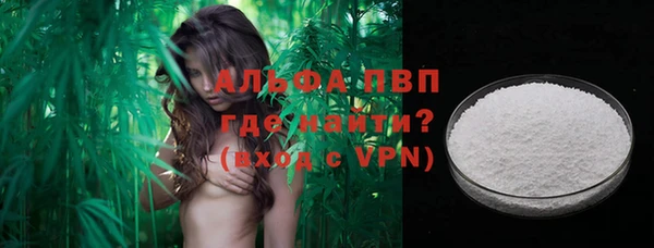 молекула духа Михайлов