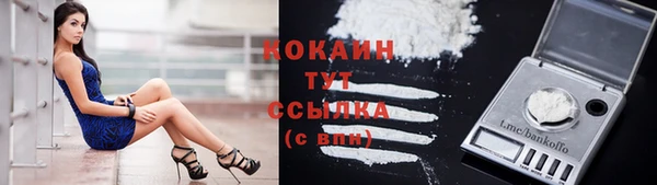 гидропоника Михайловка