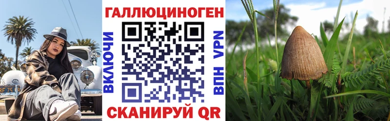 Псилоцибиновые грибы прущие грибы  Купить где  Мамоново 